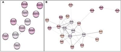 Downregulation of growth plate genes involved with the onset of femoral head separation in young broilers